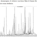 Figure 2: Typical chromatogram of Anthemis mauritiana Maire & Sennen flowers essential oil extracted by micro-steam distillation.