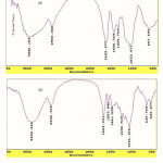 Figure 1: FTIR spectra of CMC (a) and crosslinked CMC-g-(PNVP-co-PAMPS) hydrogel (b).