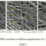 Figure 3: SEM images of PHBV nanofibers in different magnifications (3a; 5000× – 3b; 10000× – 3c; 20000×).