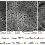 Figure 4: SEM images of coated collagen PHBV nanofibers by chemical method in different magnifications (4a; 5000× – 4b; 10000× – 4c; 20000×).