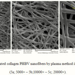 Figure 5: SEM images of coated collagen PHBV nanofibers by plasma method in different magnifications (5a; 5000× – 5b;10000× – 5c; 20000×).