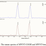 Figure 3: The raman spectra of MWNT-COOH and MWNT-benzoxazole