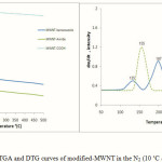 Figure 5: TGA and DTG curves of modified-MWNT in the N2 (10 ˚C /min)