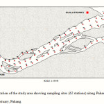 Figure 1: Location of the study area showing sampling sites (62 stations) along Pahang River- Estuary, Pahang