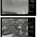 Figure 3: SEM photograph of the hydrogel. Surfaces were taken at a magnification of 10000, and the scale bar is 1 μm.
