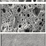 Figure 2: SEM photograph of the Pectin(a), and hydrogel Surfaces with scale bar 10 and 50 μm(b,c).