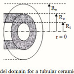 Figure 1: Model domain for a tubular ceramic membrane.