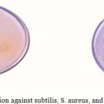 Figure 1: zone of inhabitation against subtilis, S. aureus, and E. col