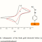 Figure 1: Cyclic voltammetry of the fresh gold electrode before (a) and after (b) deposition of 4-acetomidothiophenol. 