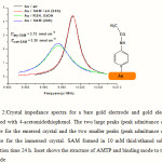 Figure 2:Crystal impedance spectra for a bare gold electrode and gold electrode modified with 4-acetomidothiophenol. The two large peaks (peak admittance ca. 4.5 mS) are for the emersed crystal and the two smaller peaks (peak admittance ca. 2.5 mS) are for the immersed crystal. SAM formed in 10 mM thiol/ethanol solution; adsorption time 24 h. Inset shows the structure of AMTP and binding mode to the Au electrode