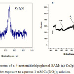  Figure 5: XPS spectra of a 4-acetomidothipophenol SAM: (a) Cu2p3/2 and (b) wide scan spectrum; after exposure to aqueous 1 mM Cu(NO3)2 solution. 