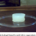 Figure 1: The hydrogel formed by mold with to copper nitrate solution   