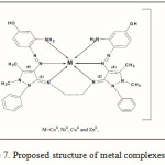 Figure 7: Proposed structure of metal complexes