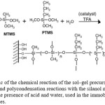 Figure 1: Schematic of the chemical reaction of the sol–gel precursors involving hydrolysis and polycondensation reactions with the silanol moieties on PDMS surface in the presence of acid and water, used in the immobilization of micro silica particles.