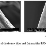 Figure 2: SEM image of (a) the raw fiber and (b) modified PAN fiber  