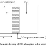 Figure 1: Schematic drawing of CO2 absorption in flat sheet membrane.