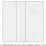 Figure 2: Meshed geometry used for numerical simulation. There are 2336 meshes.