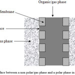 Figure 2: Interface between a non polar/gas phase and a polar phase in a hydrophobic membrane.
