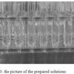 Figure 3: the picture of the prepared solutions 