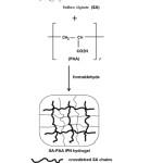 Figure 2: Schematic representation of the formation of IPN structure.