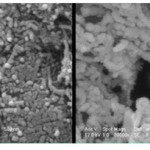 Figure 4: Scanning electron microscopy images of A carboxylated multiwalled carbon nanotubes and B MWCNT-Sunset yellow.