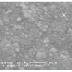 Figure 3: SEM micrograph of CeO2 powders prepared in the presence of triethylamine as precipitating agent.