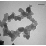 Figure 4: TEM micrograph of CeO2 powders prepared Fig. 2 SEM micrograph of CeO2 powders prepared in the presence of triethylamine as precipitating agent.