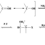 Figure 2: Second step :oximes formation mechanism.