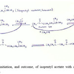 Figure 2: Reaction initiation, and outcome, of isopentyl acetate with alkoxide ion during Claisen condensation 