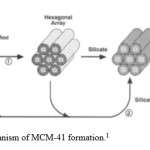 Figure 1: Proposed mechanism of MCM-41 formation.1