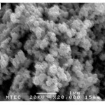 Figure 4: SEM micrograph of samples after washing; (a) no addition of soluble salt matrix