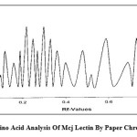 Figure 1: Amino Acid Analysis Of Mcj Lectin By Paper Chromatography