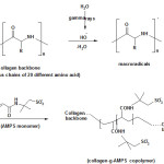 Scheme1: Proposed mechanistic pathway for synthesis of collagen-g-poly(AMPS) coplymer.