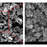 Figure 4: Field emission scanning electron microscope (FE-SEM) images with different magniﬁcations (A-B) of the spherical Ag nanoparticles.