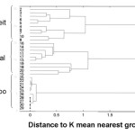 Figure 4: The dendrogram for the NIR spectral data recorded for all Cipram samples.