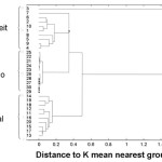Figure 5: The dendrogram for the NIR spectral data recorded for all Panadol extra samples.