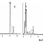 Figure 2: EDX spectra of the film formed on the surfaces of the studied materials after immersion in seawater for 48 hrs.