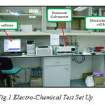 Figure 1: Electro-chemical test set up.