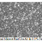Figure 4: Opt ical microst ruct ure A1 in 0.1% NaCl ( 500X).