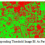 Figure 7: Corresponding threshold image B1 as per schedule 1.