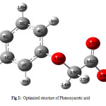 Figure 2: Optimized structure of Phenoxyacetic acid.