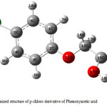 Figure 3:  Optimized structure of p-chloro derivative of Phenoxyacetic acid.