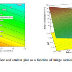 Figure 4: Response surface and contour plot as a function of indigo carmine concentration and pH.