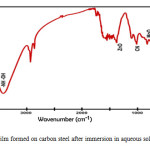Figure 4: Film formed on carbon steel after immersion in aqueous solution containing THAM (50 ppm) +Zn2+(50 ppm) + SM (250 ppm)