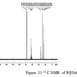 Figure :11 13 C NMR  of P(ESeb- co- BSu)