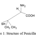 Figure 1: Structure of Penicillmaine