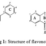 Figure 1: Structure of flavonoïds