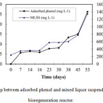 Figure 2: The relationship between adsorbed phenol and mixed liquor suspended solids (MLSS)in the bioregeneration reactor.