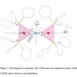 Figure 2. Showing the D2 symmetry. All C−H bonds were omitted for clarity. Each CuN2P2 unit is shown as an tetrahedron.
