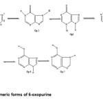 Figure 1: Tautomeric forms of 6-oxopurine.